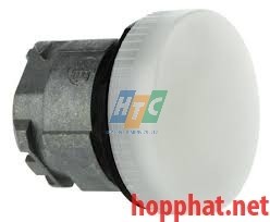 PILOT LIGHT HEAD - ZB4BV013